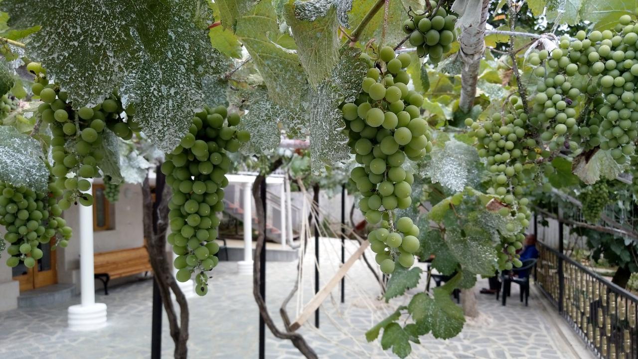 فندق Tsivi Tba تسكالتوبو المظهر الخارجي الصورة